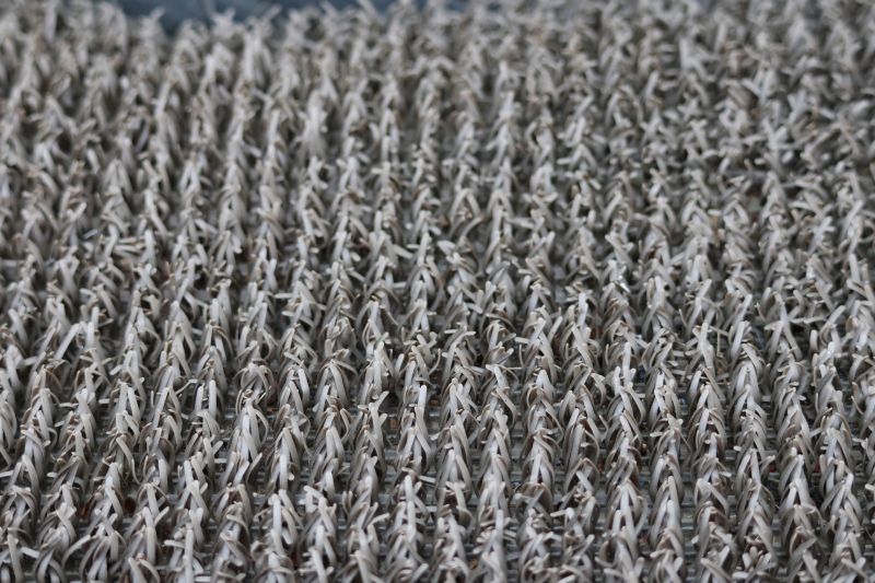 Carpet Foam Replacement in Kansas City, KS
