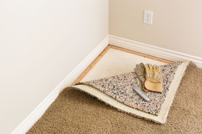 Carpet Foam Replacement in Alpharetta, GA