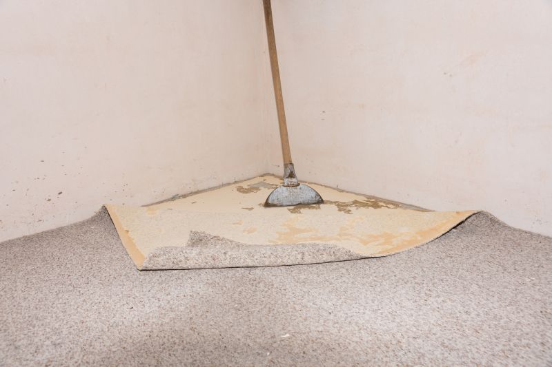 Carpet Foam Replacement in Denver County, CO