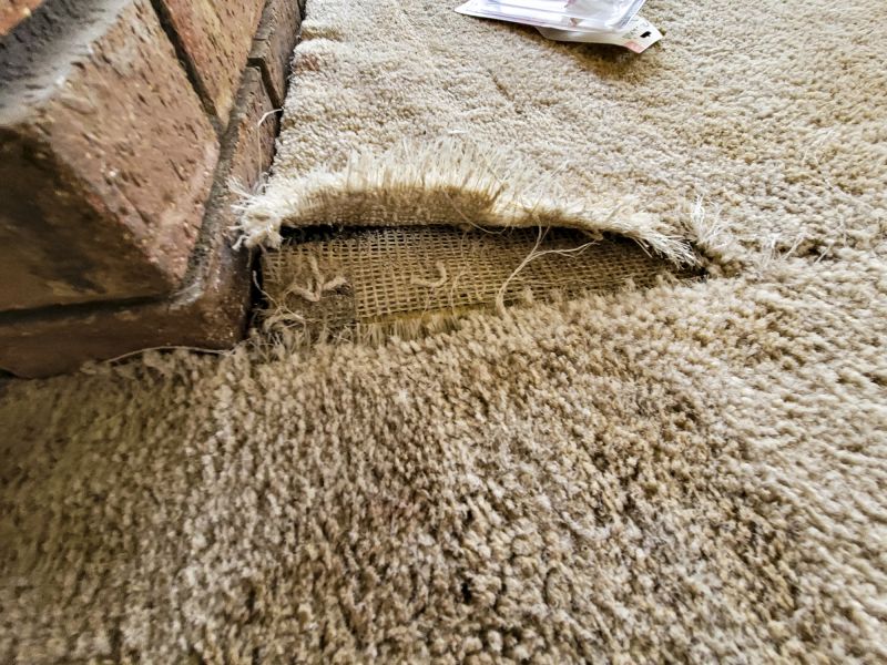 Commercial Carpet Repair in Littleton, CO
