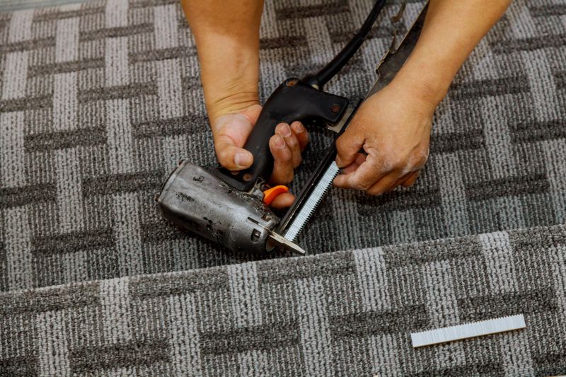 Pet Stain Carpet Repair in Littleton, CO