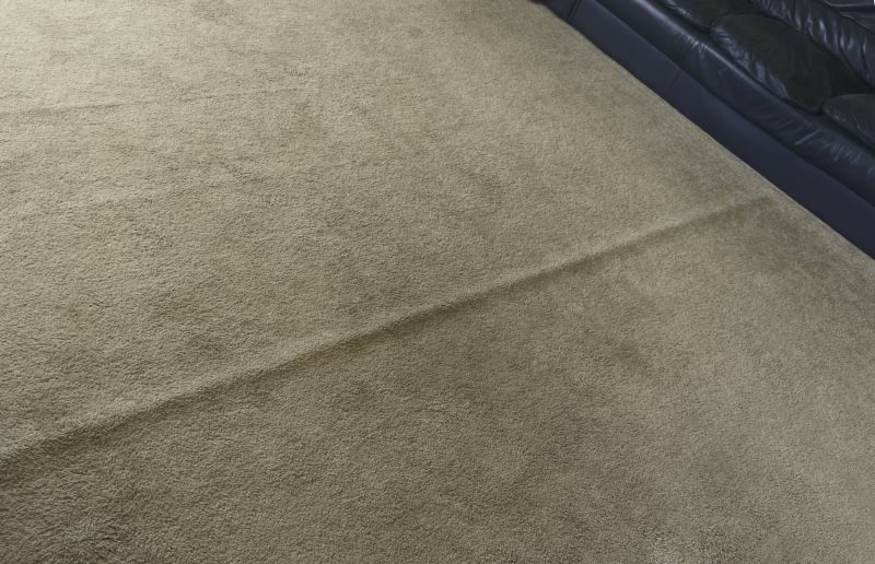 Carpet Restretching in Olathe, KS