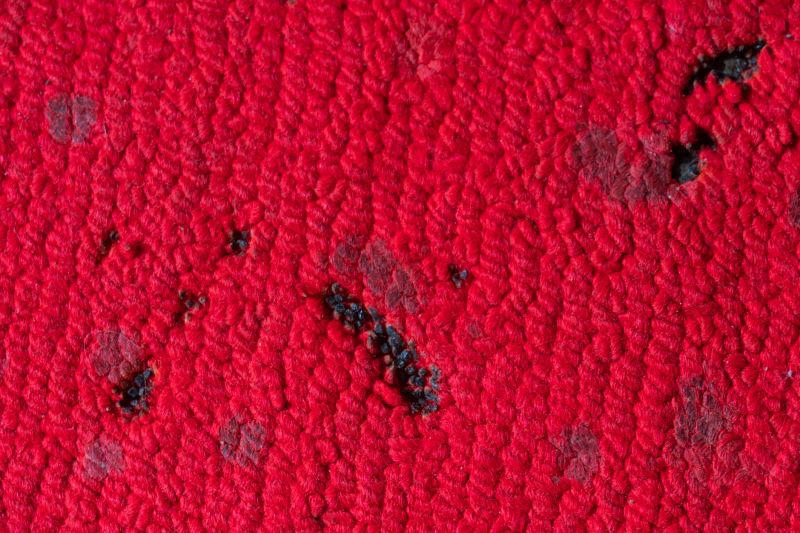 Commercial Carpet Repair in Overland Park, KS