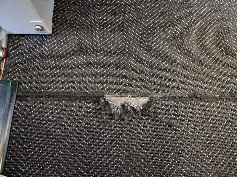Pet Stain Carpet Repair in Alpharetta, GA